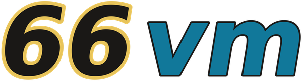 66vm logo